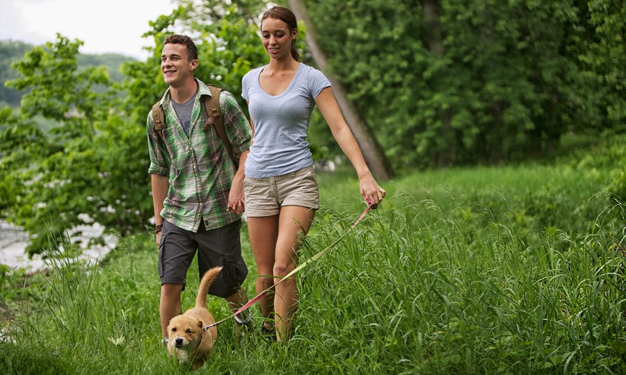 Pet Policy - Woodlands of Charlottesville - Pet Friendly Condo Rentals in Charlottesville